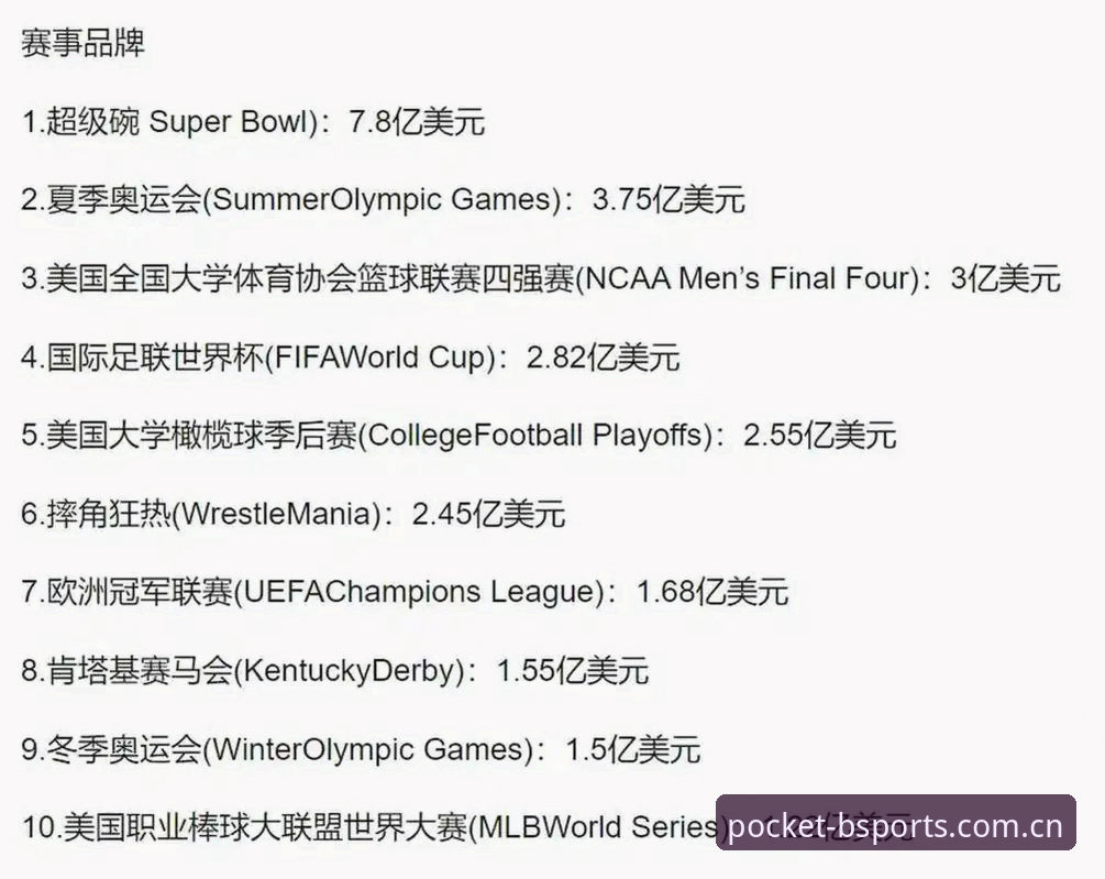 世界杯观赛签证难题实用指南——B体育平台带你了解赛事背后的挑战与应对策略
